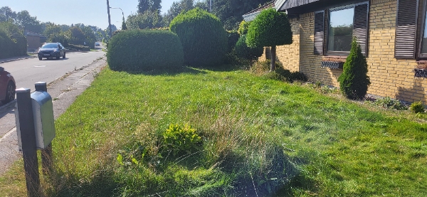 slå græs. lidt trimning. bortskaffelse.