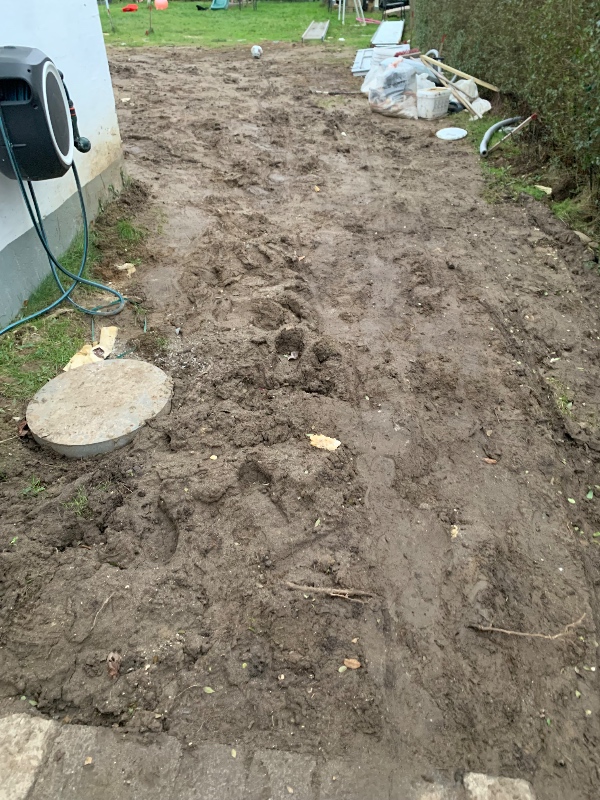 Fræsning og plejning af græsplæne