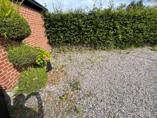 Klipning af hæk og fjernelse af ukrudt ved fliser og bede