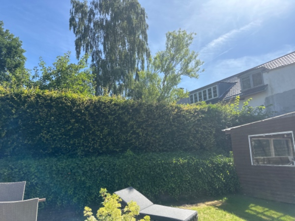 Klippet ca 100m hæk