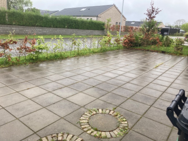 Fjern ukrudt og græsklipning