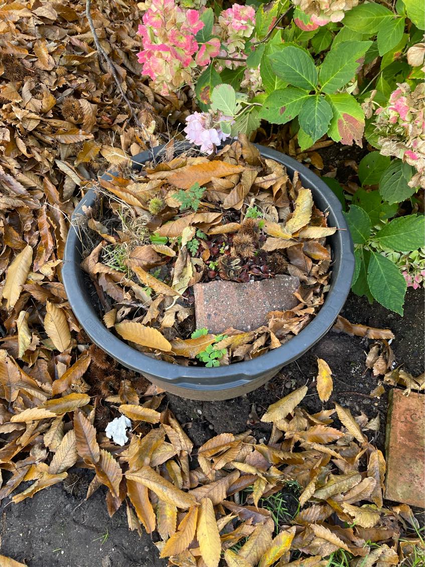 Køre haveaffald bort