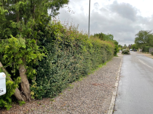 Hækklipning og bortskaffelse