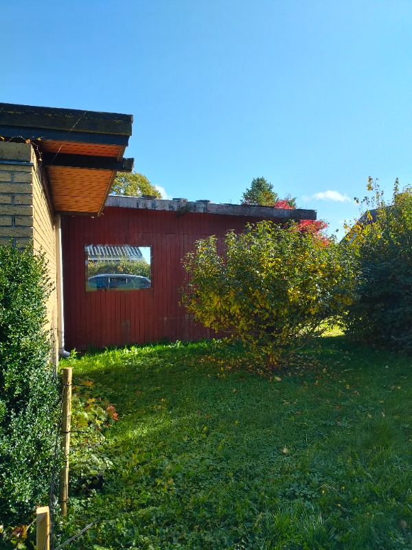 Have: Beskæring, nedrivning