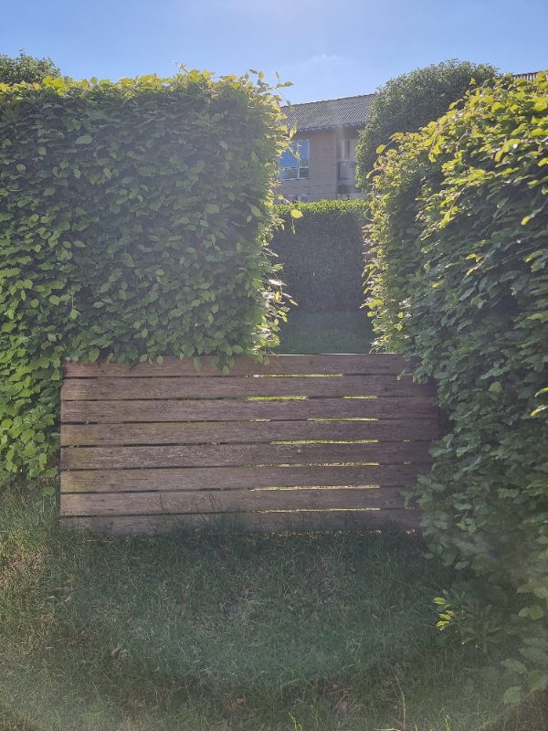 Genetablering af havelåge