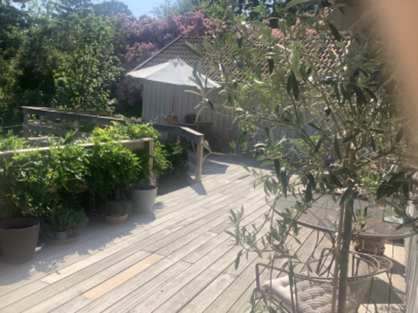 Rens og oliering af 80 kvadratmeter gammel terrasse. Den blev grundig renset i forsommeren.