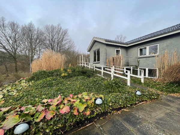 Rydning af forhave (primært efue)