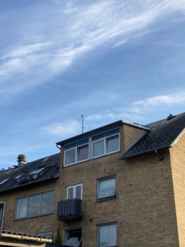 Fjernelse af duer på loftet