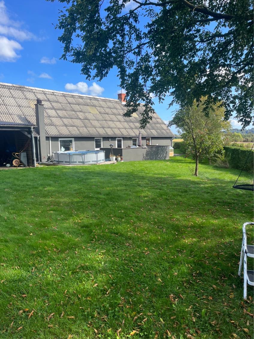 Slået græs / let hæklipning / ordne træ