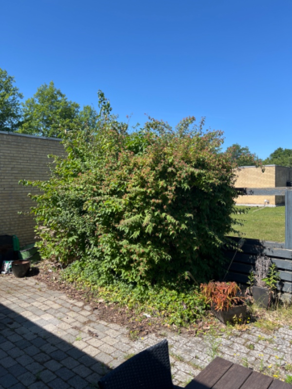 Haven skal gøres sommerklar