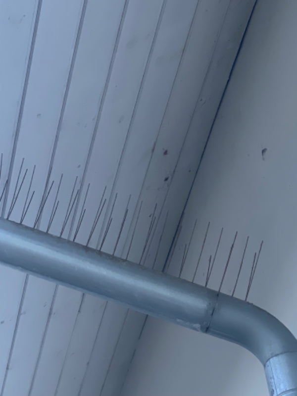 Opsætning af “fugleværn” på tagryg