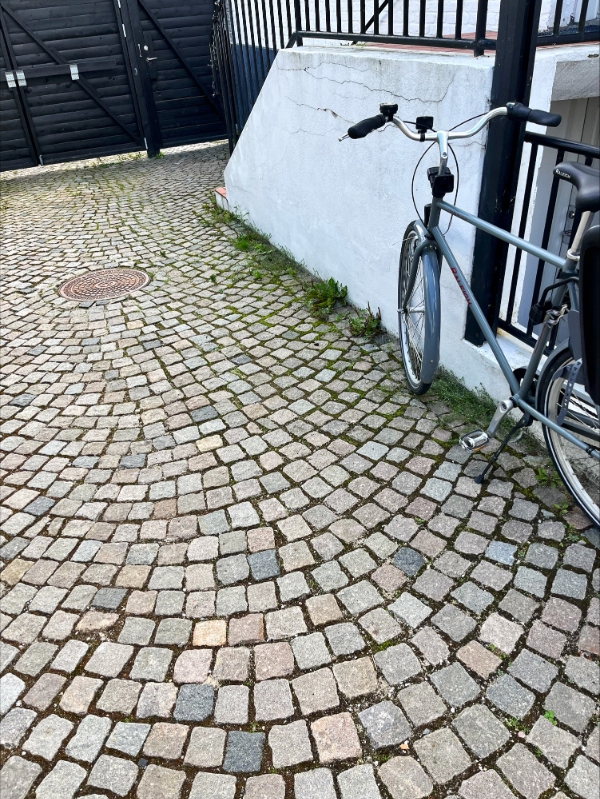 Jeg skal have kørt skrald væk og ukrudt skal luges/brændes væk i en gårdsplads med brosten.