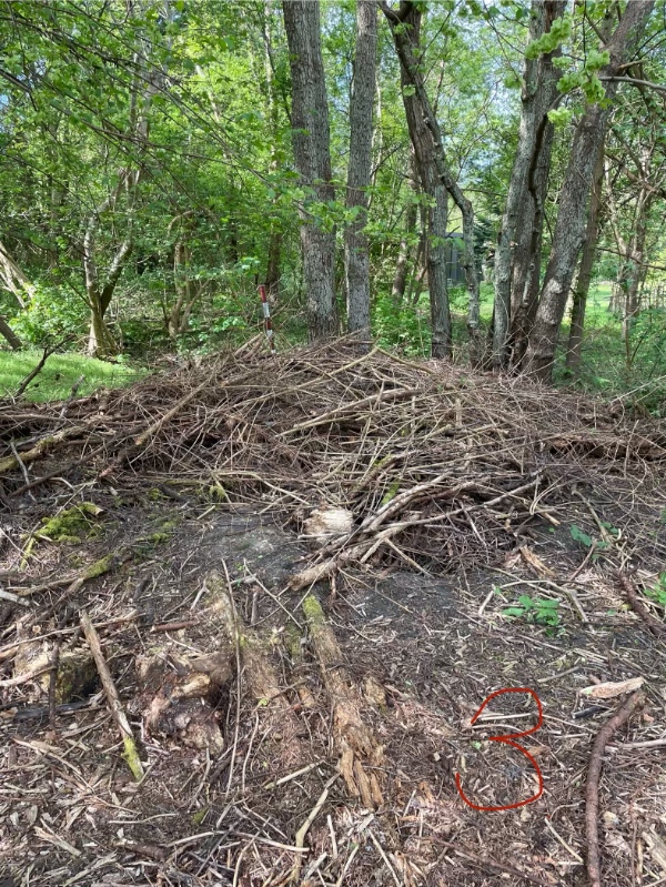 Haveaffald kørsel til genbrugsstation