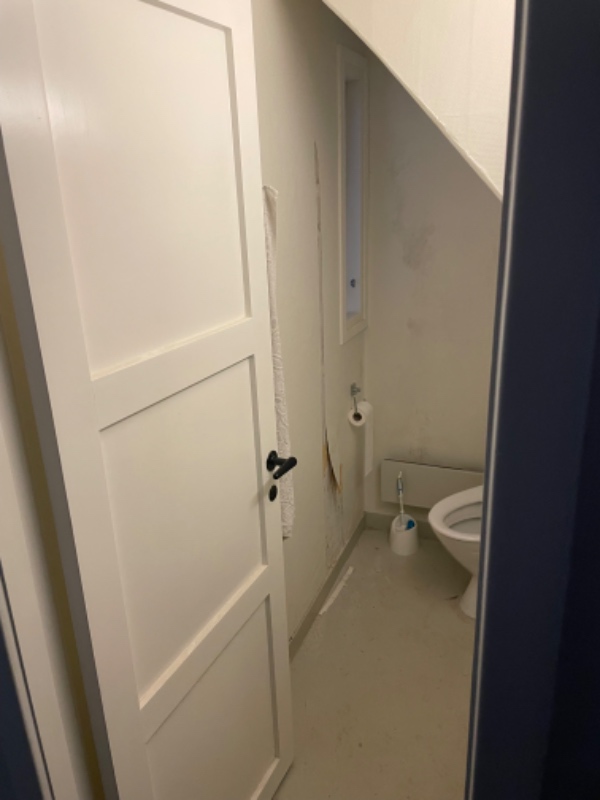 Fjern tapet og bank udvendig fugt plamager af i kølderrum