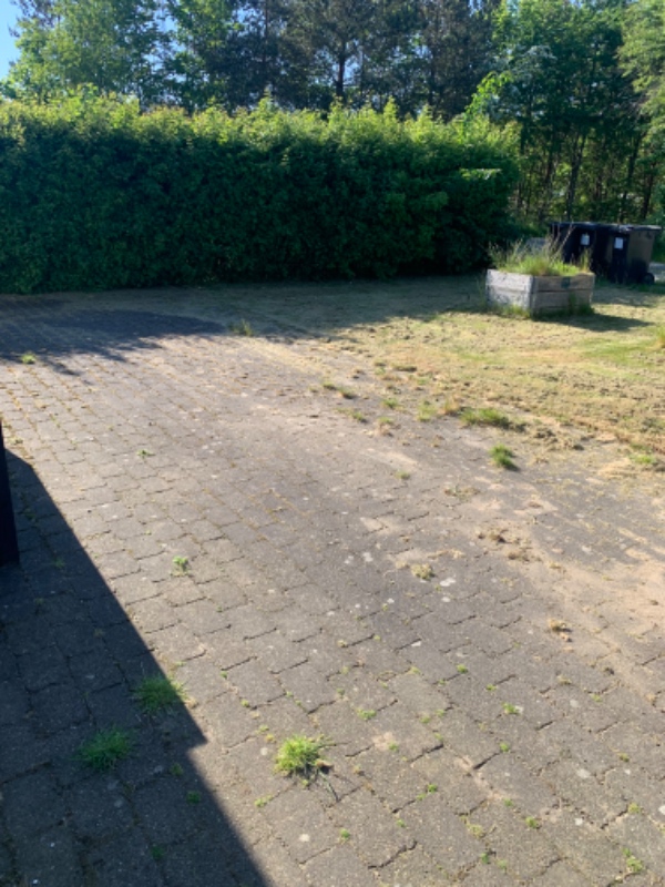 Fjernelse af ukrudt på gårdsplads