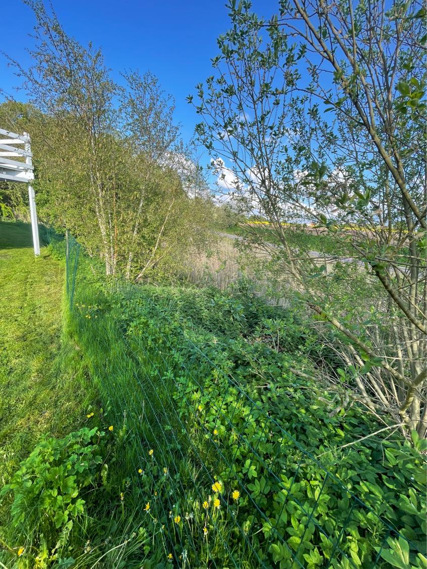 Udvidelse af have ned til åen