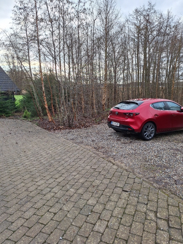 Fjernelse af træer og bortskaffelse