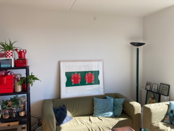 Hjælp til at bore skruer i væggen (vi har ikke en boremaskine til beton)