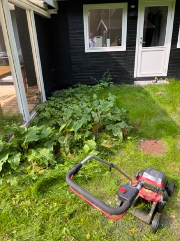 Klippe Græsplænen