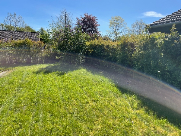 Græsslåning og hækklipning