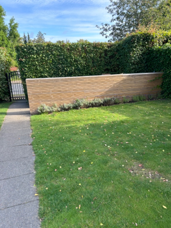 Maling af træværk (skur og væg)