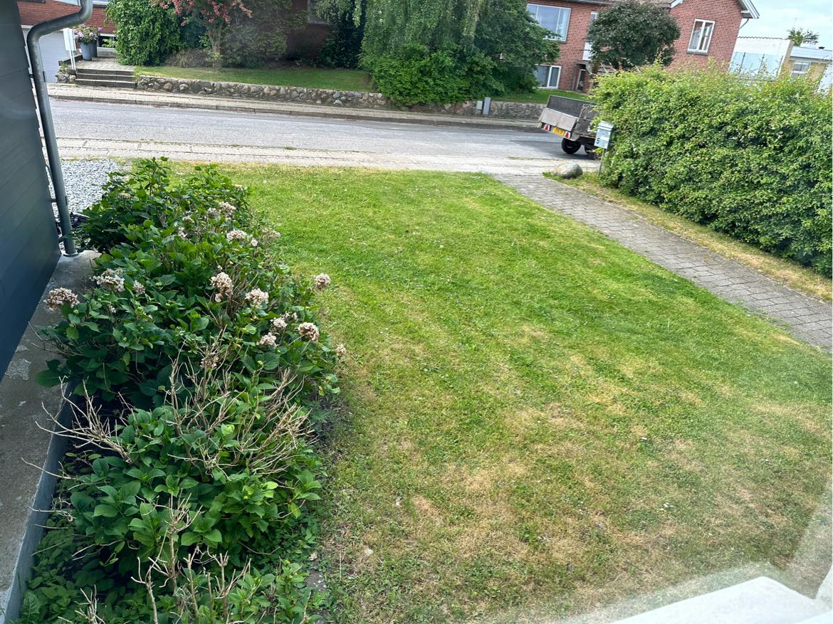 Hækklipning og kantskæring