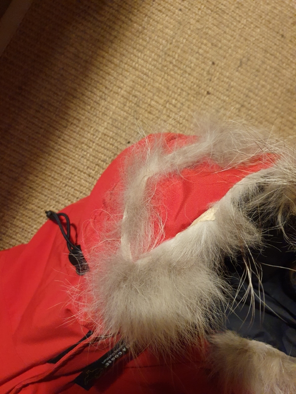 Syning af pelskrave på jakke