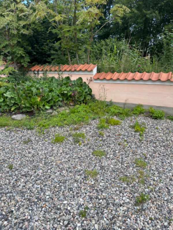 Ukrudt, trimning og generel havearbejde