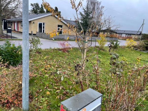 Hjælp til havepleje - ukrudt mellem fliser, i bede mv.