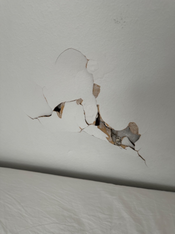 Fraflytning af lejlighed (lidt maling og andre småreparationer).