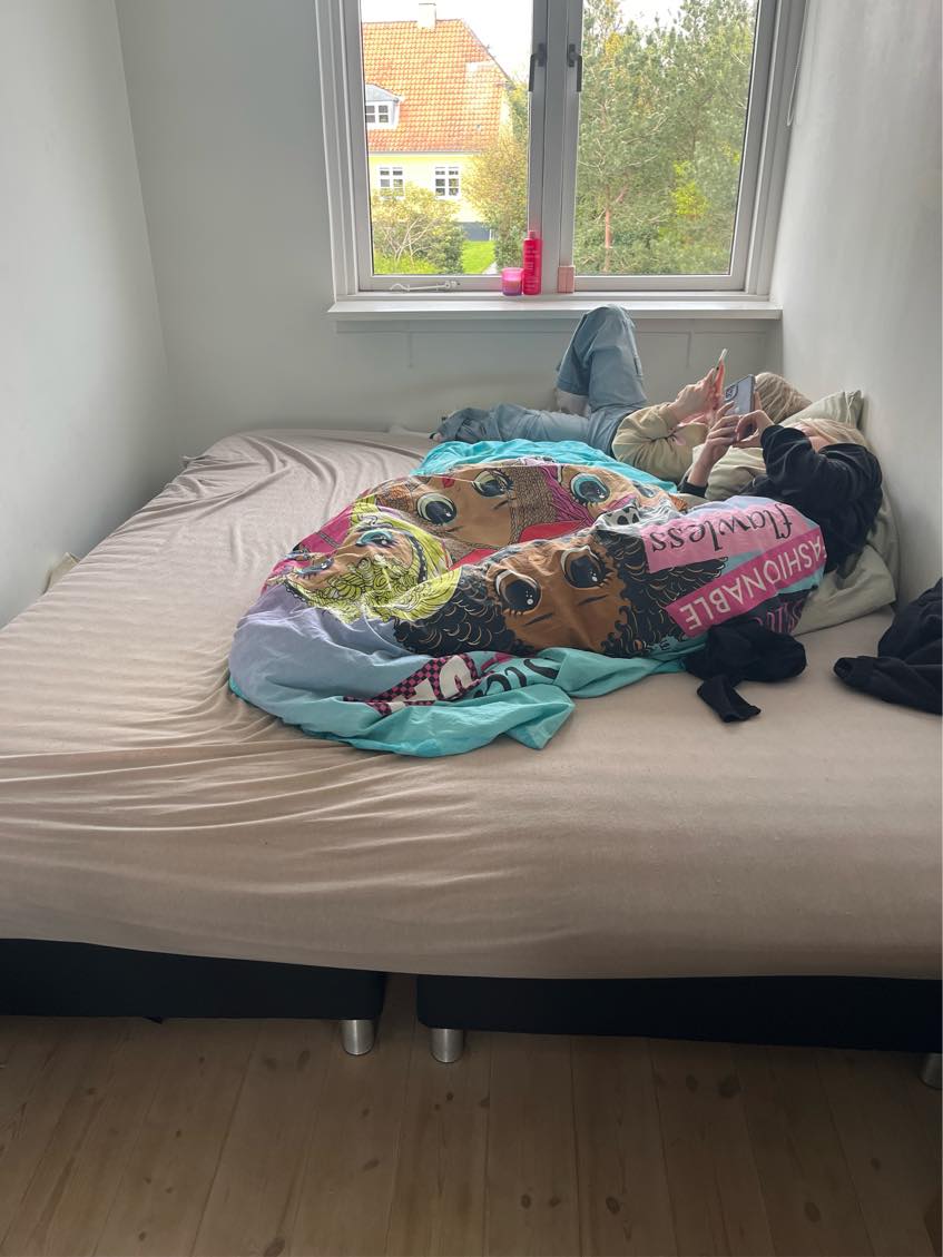 Flytte fra Hørsholm til Fredensborg