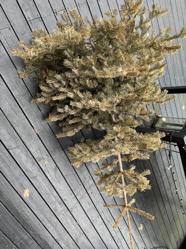 Bortskaffelse af diverse affald