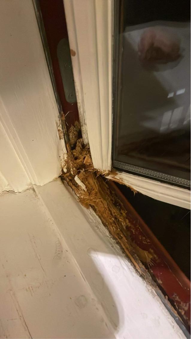 Skifte vindue og reparere en karm efter råd i lejlighed på 5. Sal Enghavevej