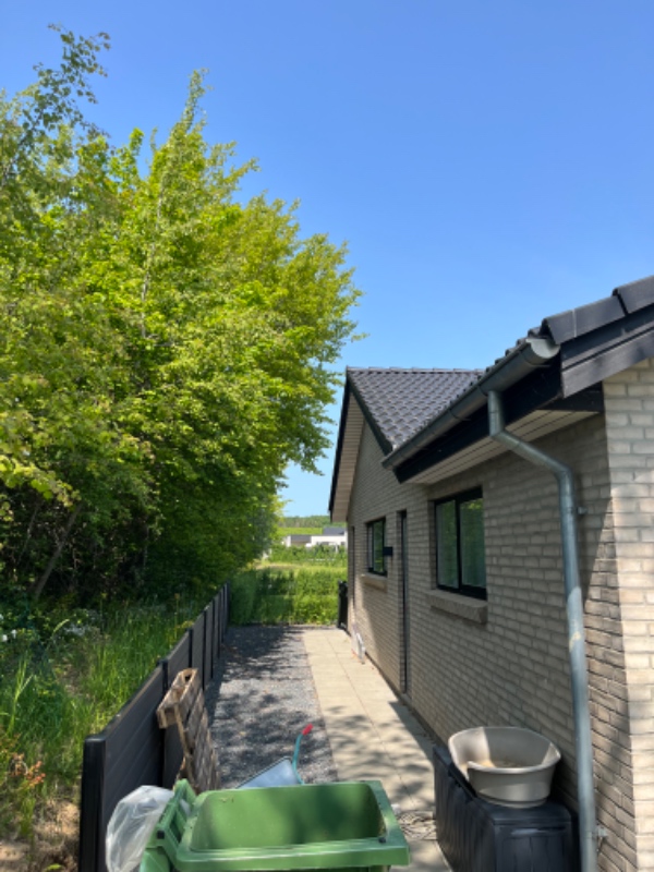 Beskæring af trægrene