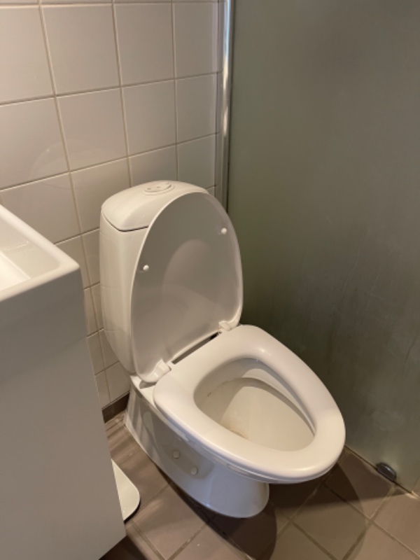 Udskiftning af toilet og installation af nyt køkkenarmatur