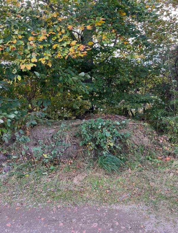 Bortkørsel af græstørv og haveaffald.