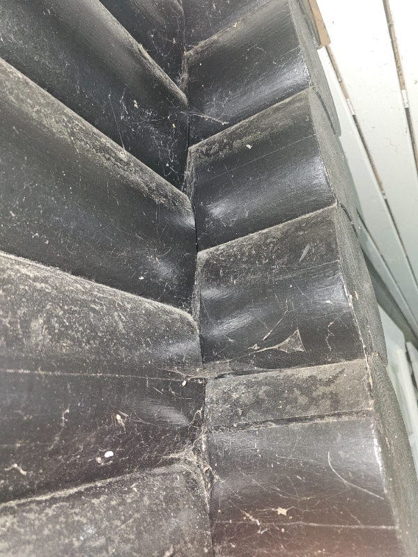 Fjerne og dræbe edderkopper ekskrementer