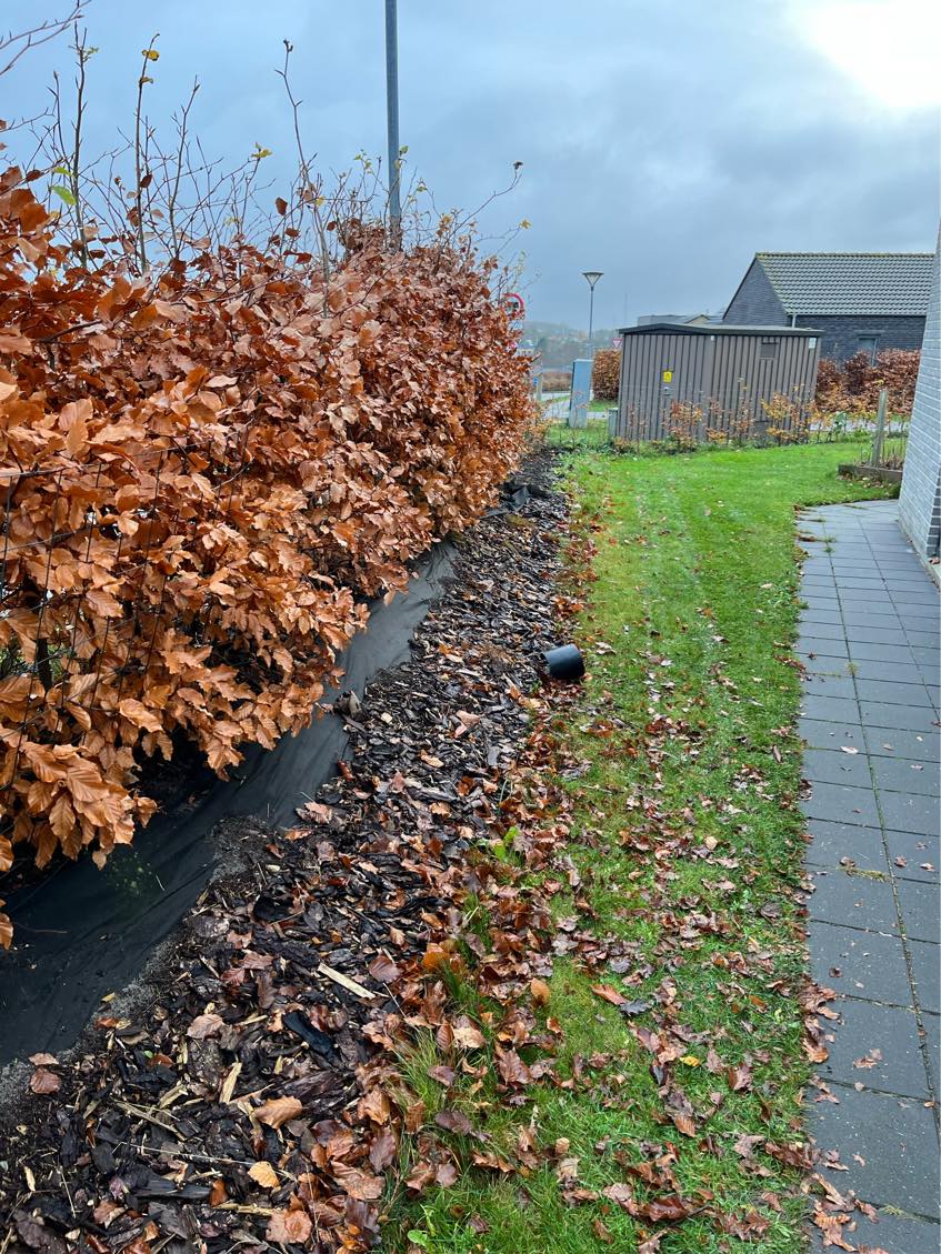 Sætte støttemur op