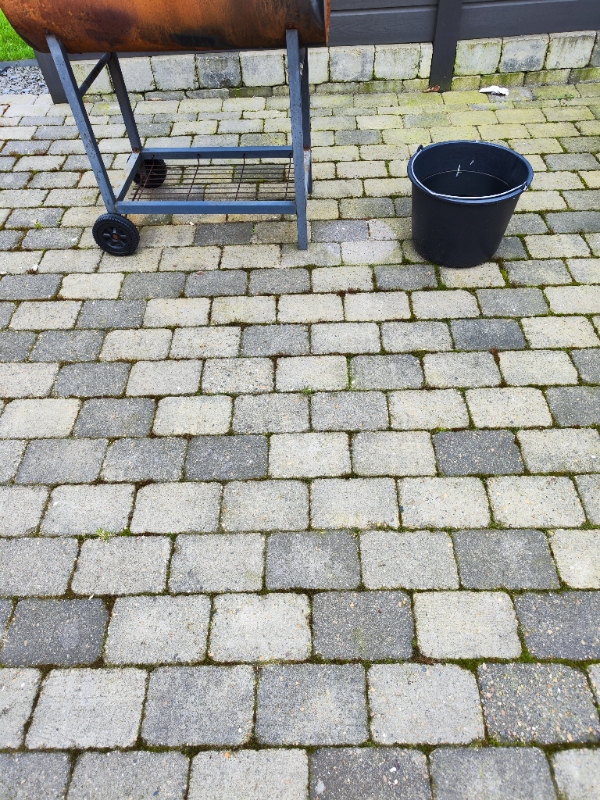 Rengjort terasse og indkørsel