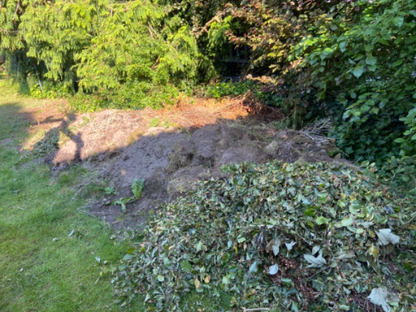 Bortkørsel af jordbunke i Holte