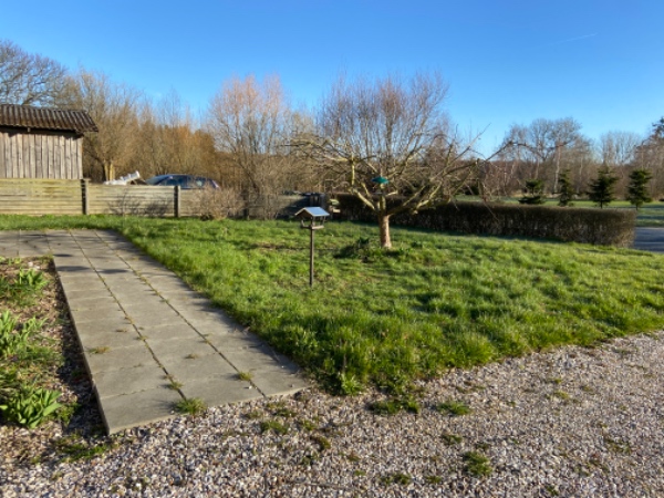 Græsslåning, fjerne ukrudt på terrassen, indkørsel samt gangfliser