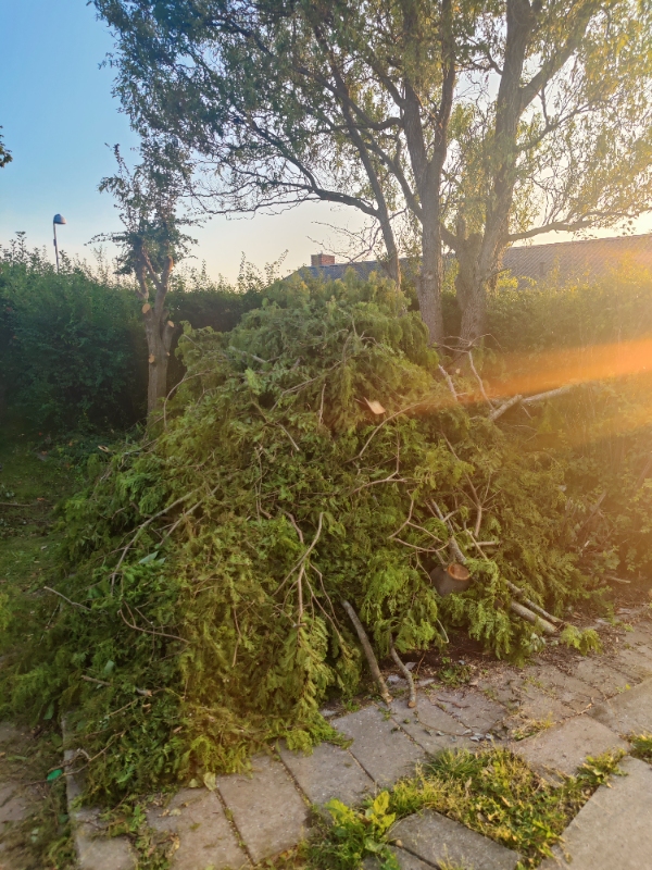 Afhentning af haveaffald