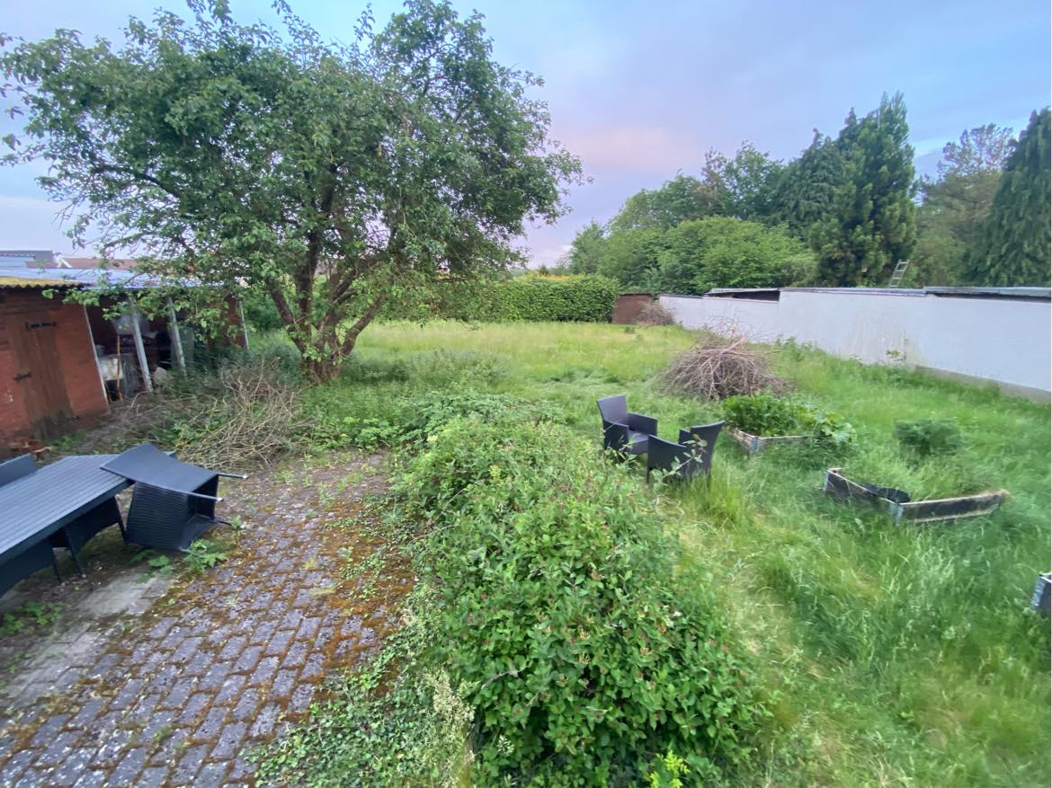 Slå langt græs og beskær hæk