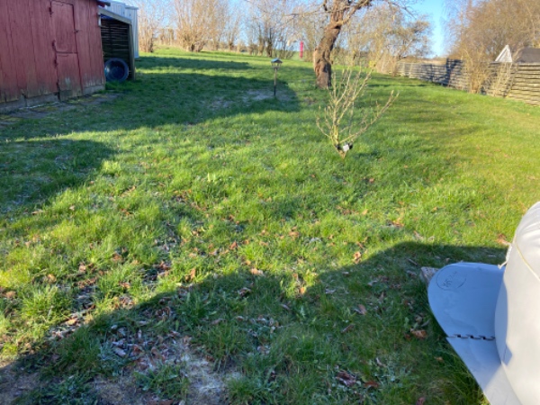 Græsslåning, fjerne ukrudt på terrassen, indkørsel samt gangfliser