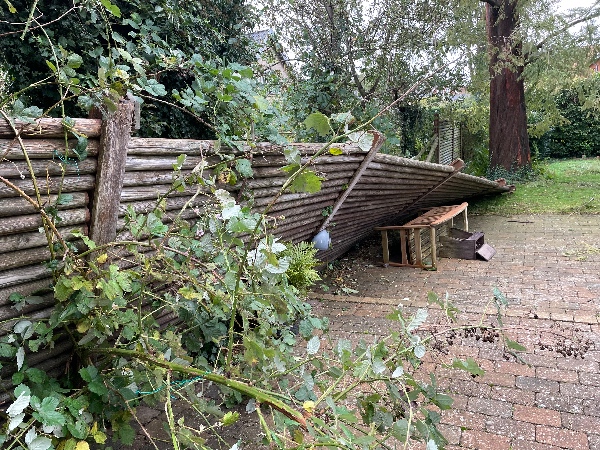 genopretning af væltet hegn under storm