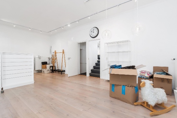 Fjernelse, afmontering og rengøring