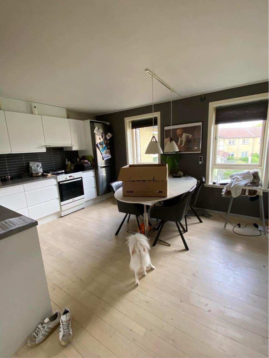 Male stue/køkken alrum