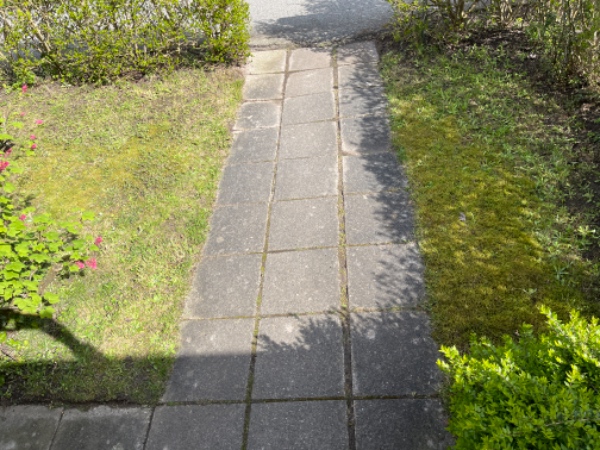 Græsplænepleje og gødning