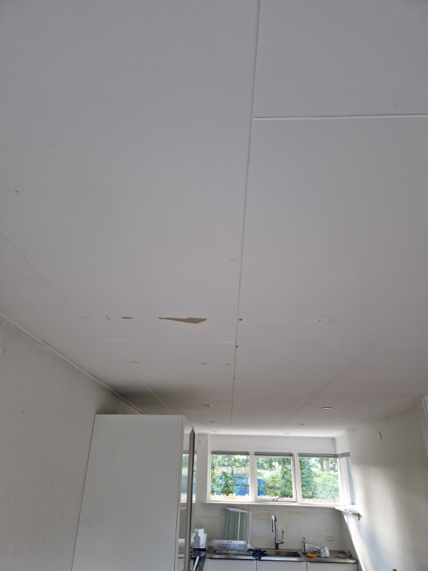 maling af lofter 51,4 m2 heraf er 5 m2 vådrum + en smule væg