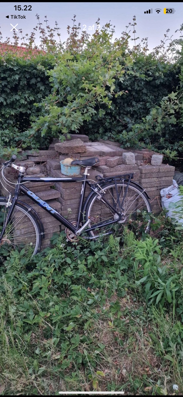 Afskaffelse af fliser